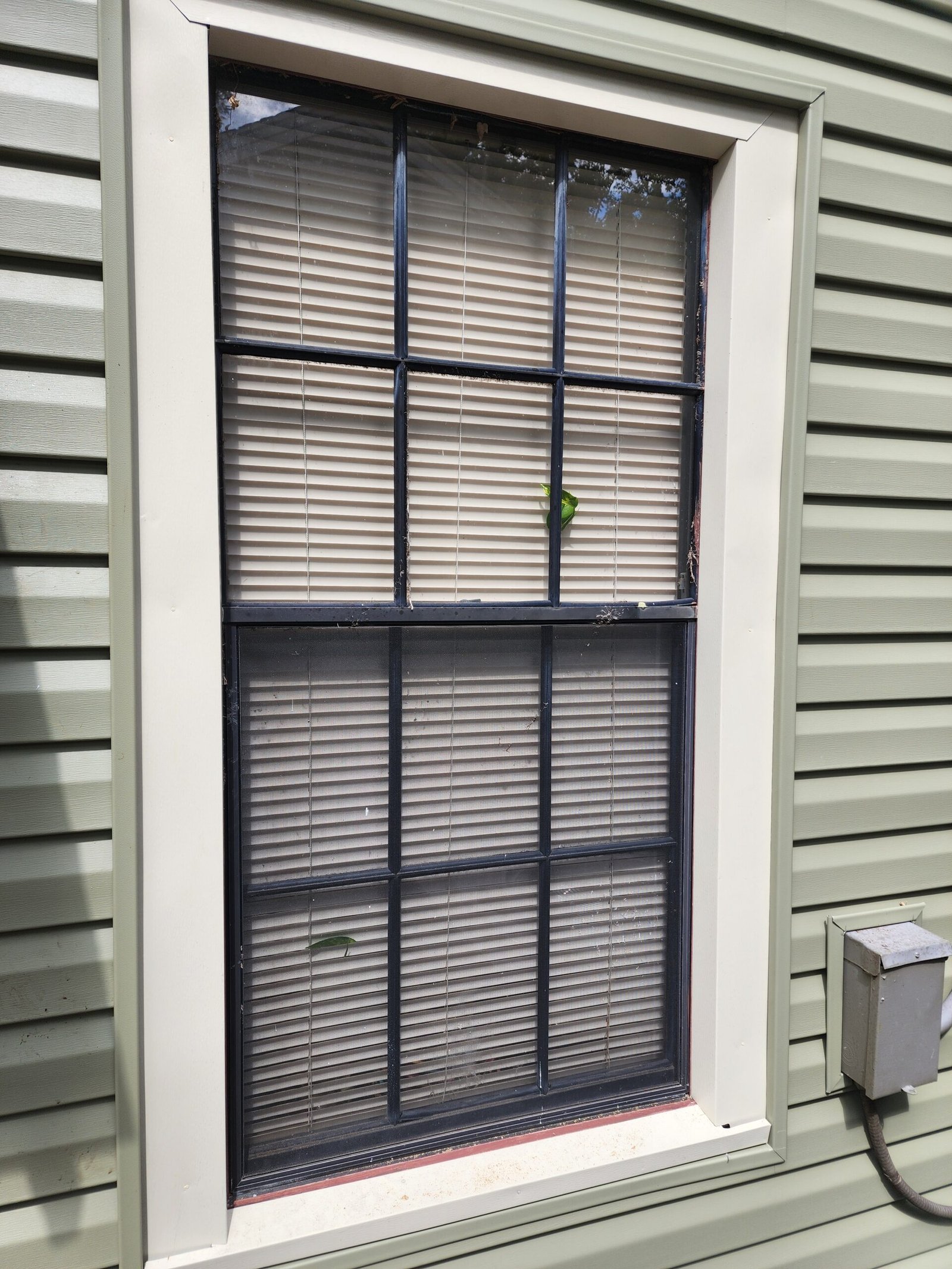 siding installation shake house