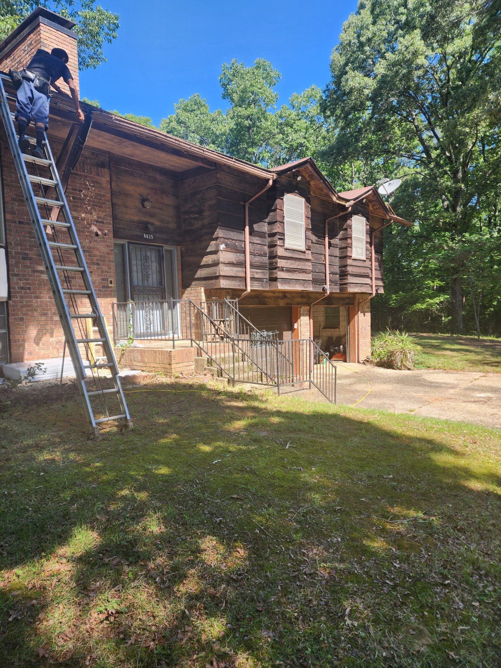 siding installation squirell